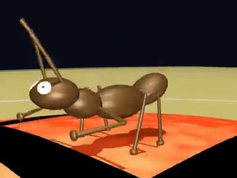 The Ant Hropoid