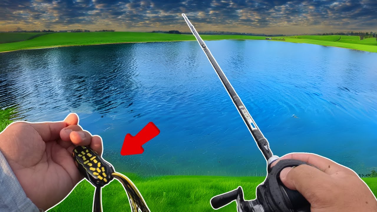 Pond Fishing TOPWATER Only For BIG BASS