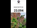 CONTADOR DE INSCRITOS AO VIVO
