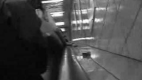 fall back spring forward