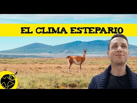 Video: ¿Dónde se encuentran los climas esteparios?