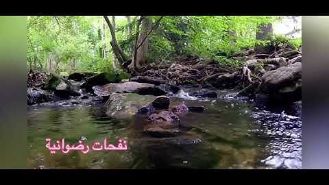 آيات من الذكر الحكيم من سورة البقرة القارئ هشام الهراز