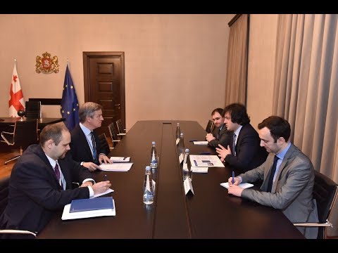 ირაკლი კობახიძის შეხვედრა EUMM-ის ახალ ხელმძღვანელთან