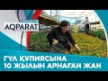 Гүл өсіруді кәсіп еткен жанның табысы артуда