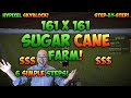 How to Build a Sugarcane Farm - Hypixel Skyblock (Guide / Tutorial)