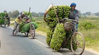 Africa’s Cheapest Solution to Transport Tons of Farm Produce