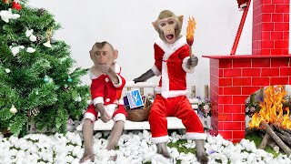 Farmer Bim Bim And Baby Monkey Obi Have A Warm Christmas