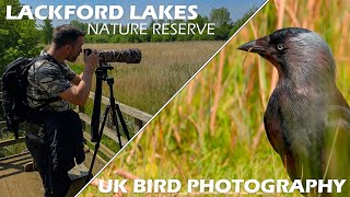UK Bird Photography at Lackford Lakes | Sony A7IV & Sony FE 200-600mm F5.6-6.3 G OSS