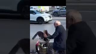 🐈 😺 🙀 Ayakkabı boyacısı can amca  kediyi severken #ytdayibenionecikarnolur #cat ...