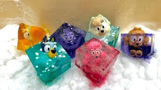 Blueys Snow and Ice Rainbow Day! 🌈 🧊 ❄️