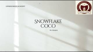 Snowflake CoCo: Generate Streams Using AI | No Manual SQL Required