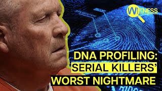 Celebrity How DNA is Catching Killers: The Genetic Manhunt for Unsolved Crimes (Crime & Justice Documentary) Wealth
