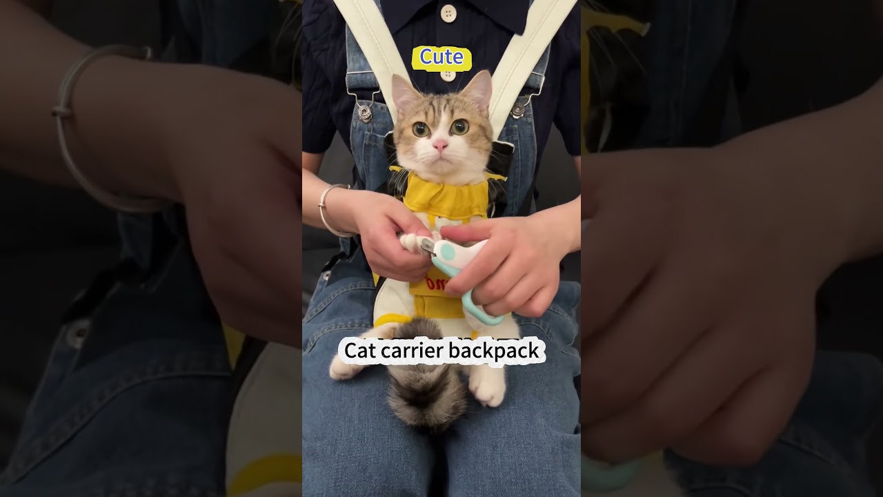 Cat carrier backpack 