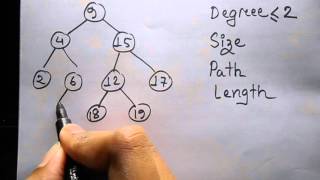 Finding the Degree ,Size ,Path and Length of a Binary tree