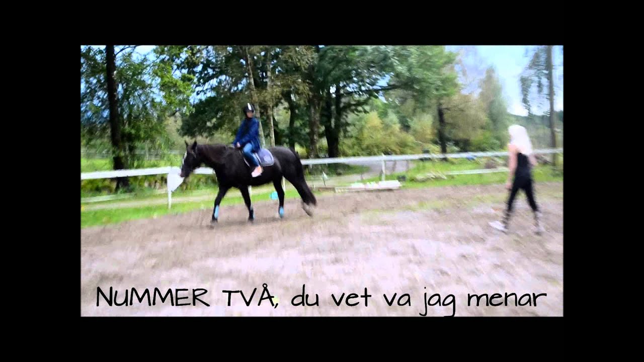 Ridskolan tube Ridskolan tube