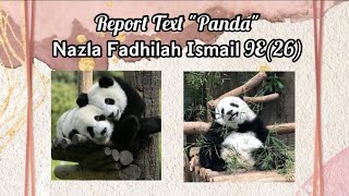 Report Text Panda — Nazla Fadhilah Ismail 9E(26)