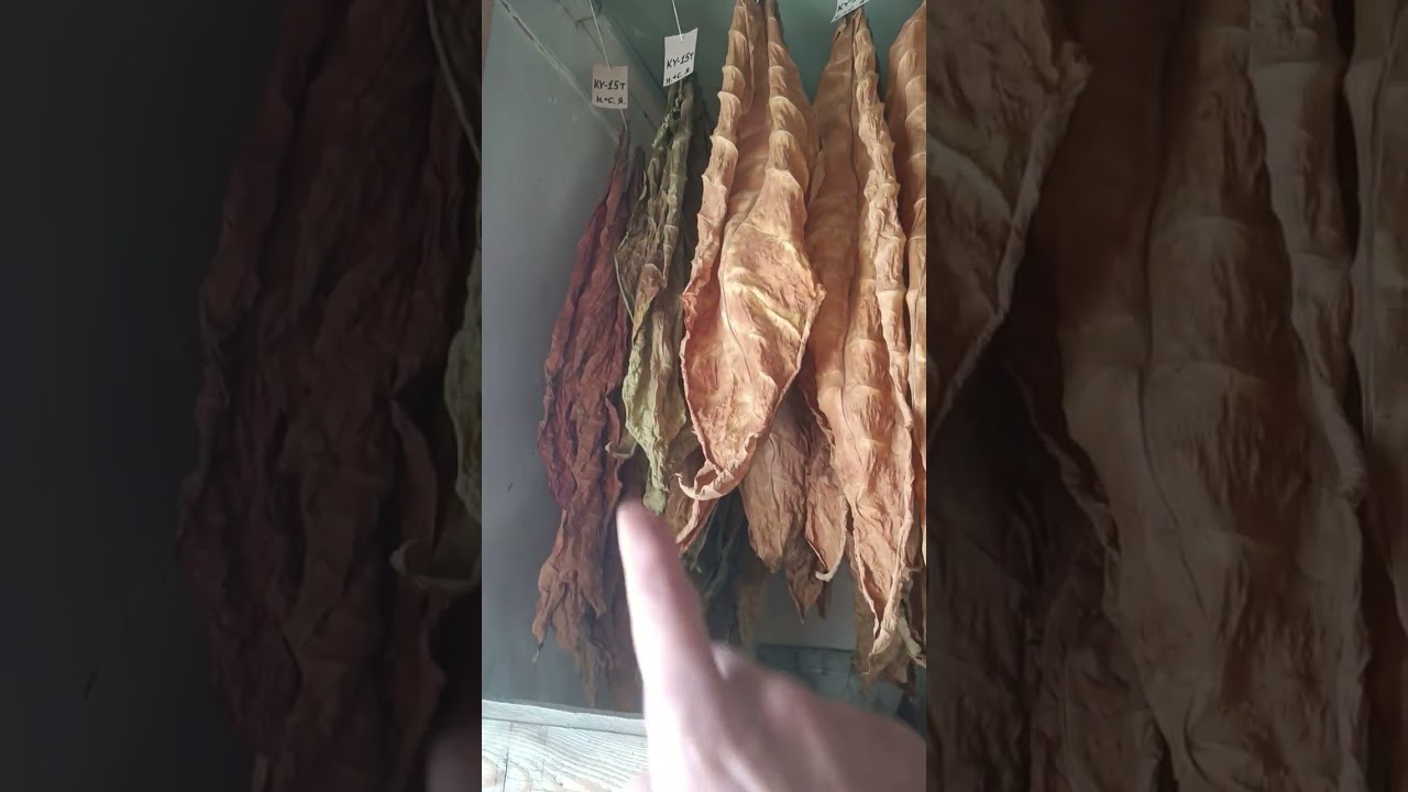 Всё есть на канале, просто нужно посмотреть.