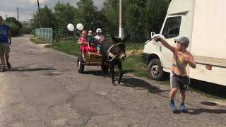 Данка 2 130719