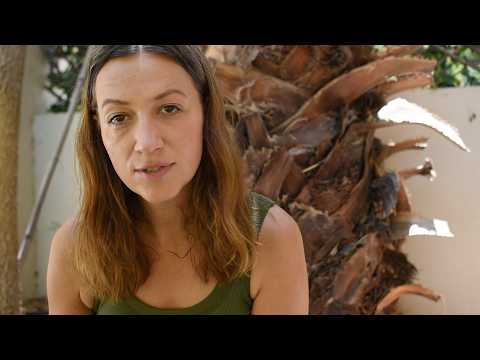 Why Argentina Was a Mistake for Us - Moving to Argentina? Our Honest Experience
