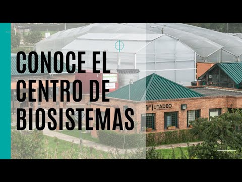 Nuestro Centro de
