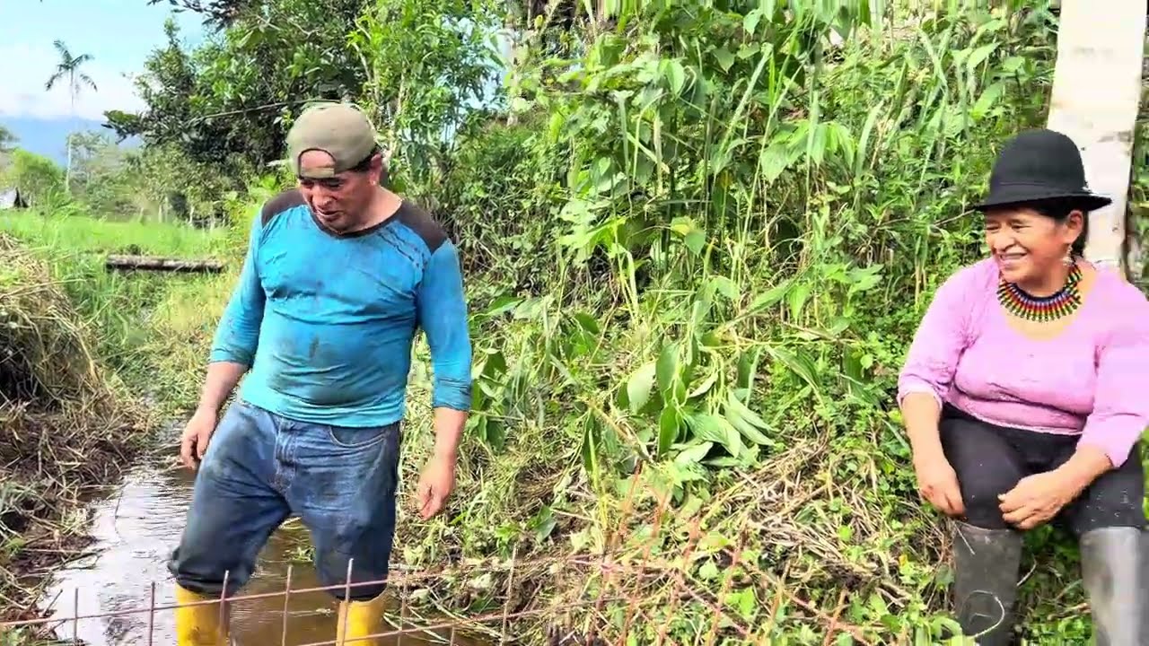 Tenemos nuevos PATITOS en nuestra Finca | Don Valentin