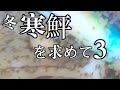 【ドキュメンタリー】冬寒鮃を求めて3