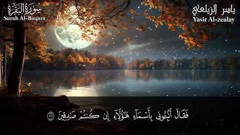 سورة البقرة  كاملة النسخة النهائية🎧😌💚 للقارئ ياسر الزيلعي   surah albaqara