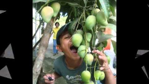 C:\Documents and Settings\Admin\My Documents\My Videos\Summer Vacation 2011.wmv