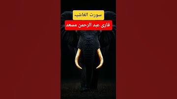 سورت الغاشیہ #عبد الرحمٰن مسعد #قران_كريم #قرآن #تلاوة_خاشعة #راحة_نفسية