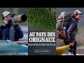 Nuit en montagne et rencontre avec les orignaux en kayak merveilleuse gaspsie