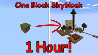 [1 Hour Timelapse] One Block Skyblock | [Таймлапс] Скайблок
