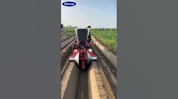 Mini Trenching and Ridging Machine for Planting Strawberries