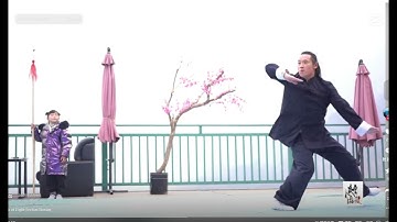 武当八极拳，Wudang Baji form. Bát Cực quyền Võ Đang, đạo sĩ Lăng Vân. Бацзи форм Удан ушу