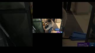 Bat, Mice Rescued By Newswatch 16 Team