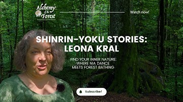 Alchemy of the Forest | Leona Kral
