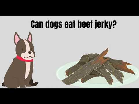 Can dogs eat Beef Jerky? Beef jerky recipe for dogs