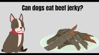 Can dogs eat Beef Jerky? Beef jerky recipe for dogs by Serve Dogs 624 views 2 years ago 3 minutes, 26 seconds