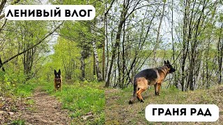 :     [] -   !