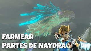 La Mejor Forma De Conseguir Partes De Naydra - The Legend Of Zelda Breath Of The Wild 2026