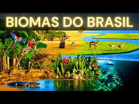 🌍 A Riqueza Natural do Brasil — Conheça Todos os Biomas!