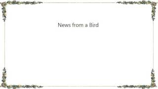 Deerhoof - News from a Bird Lyrics