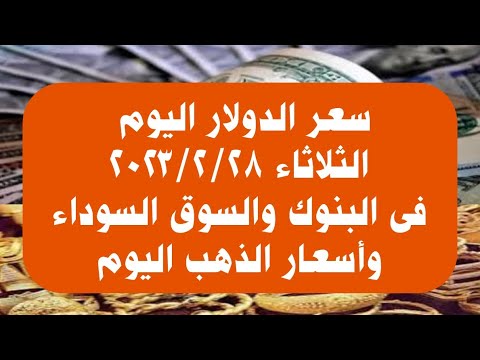 سعر الدولار اليوم الثلاثاء ٢٨ فبراير ٢٠٢٣ فى البنوك المصرية والسوق السوداء وأسعار الذهب فى الأسواق