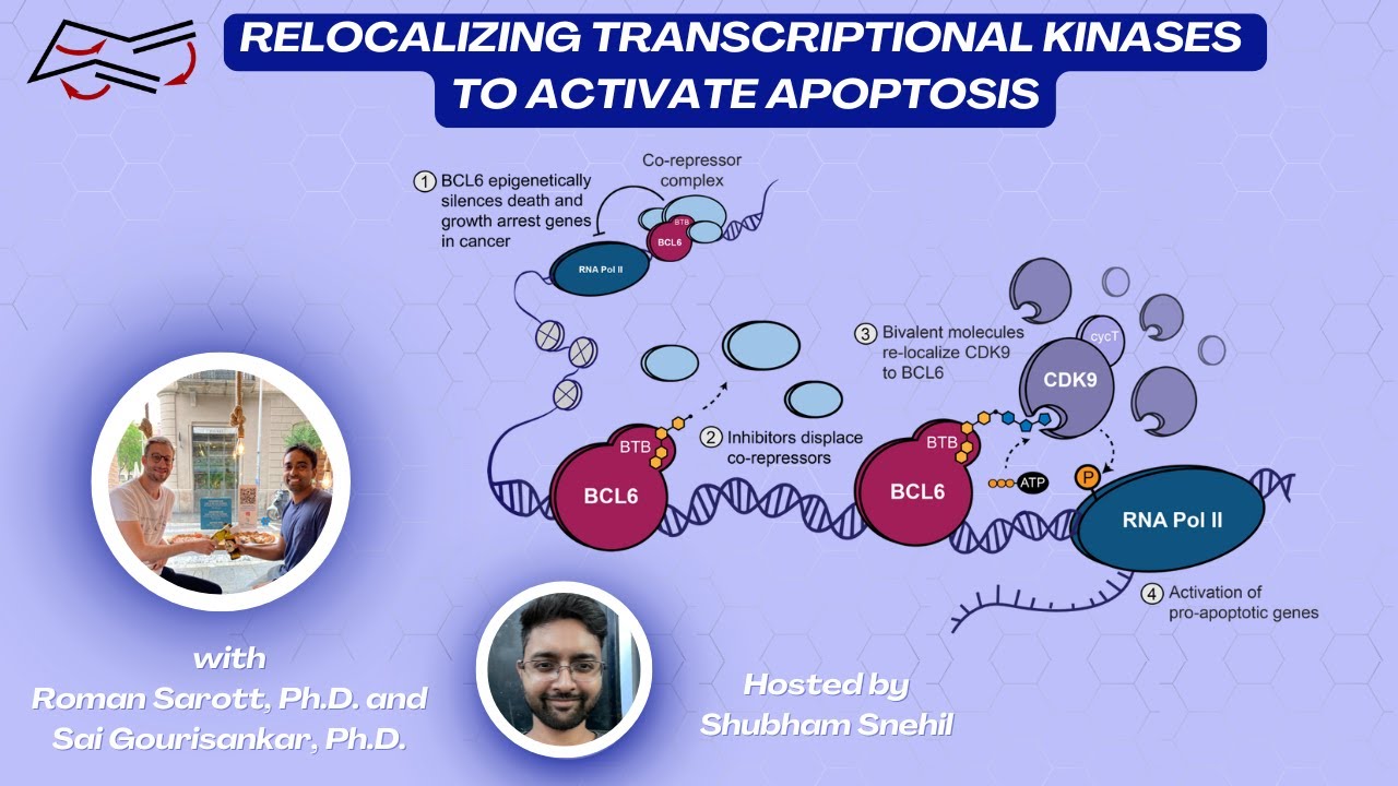 Relocalizing Transcriptional Kinases to Activate Apoptosis with Roman Sarott and Sai Gourisankar