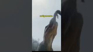 Antigamente Vs Hoje Em Dia