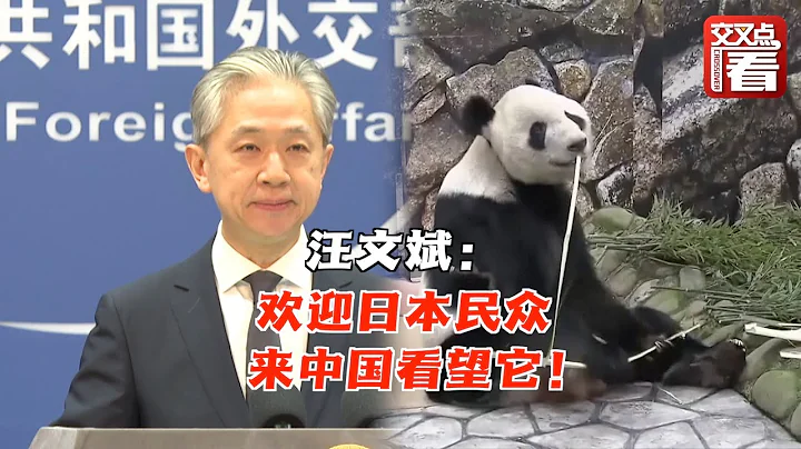 【外交部】旅日大熊貓「香香」今日回國 汪文斌歡迎日本民眾來中國看望它 - 天天要聞