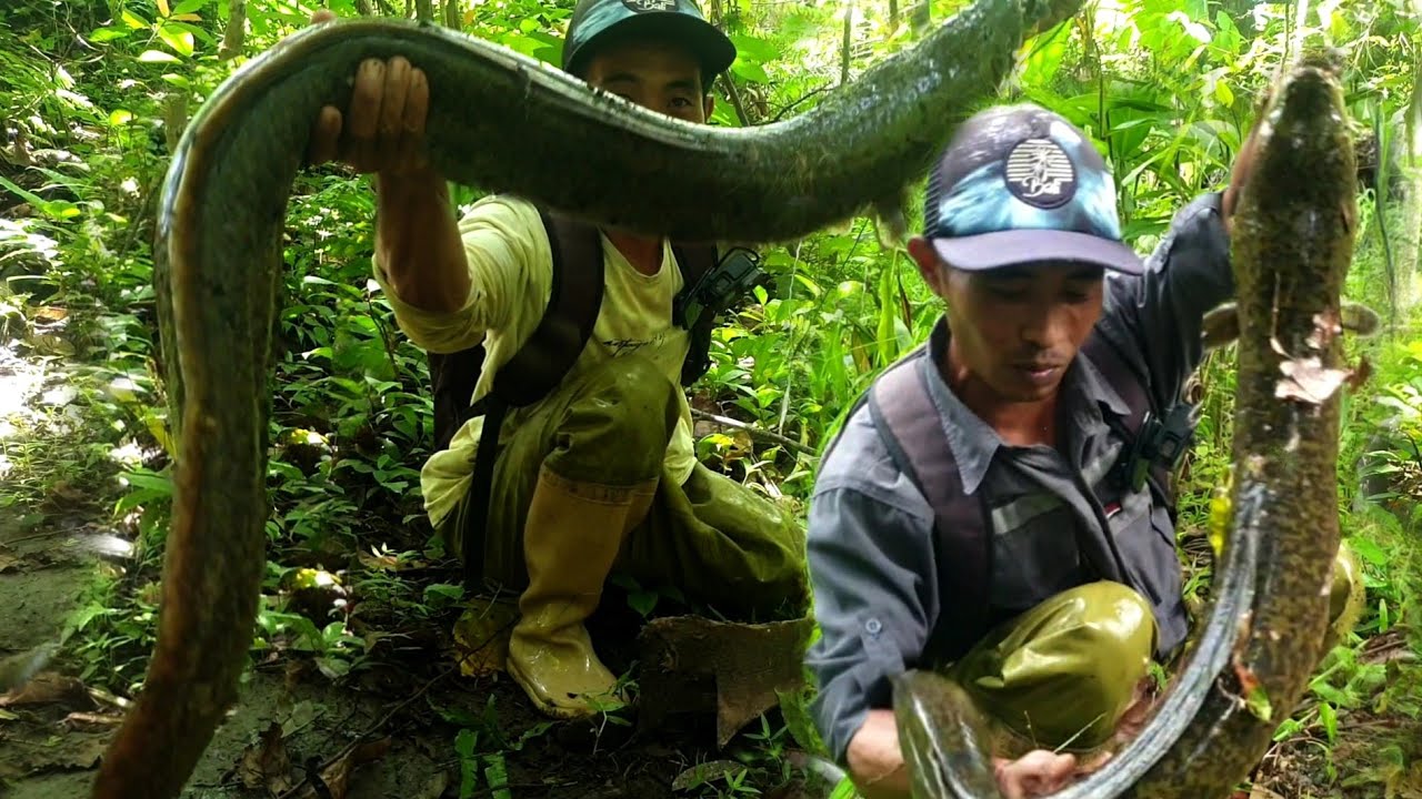 Xitoy ayollar bilan porno