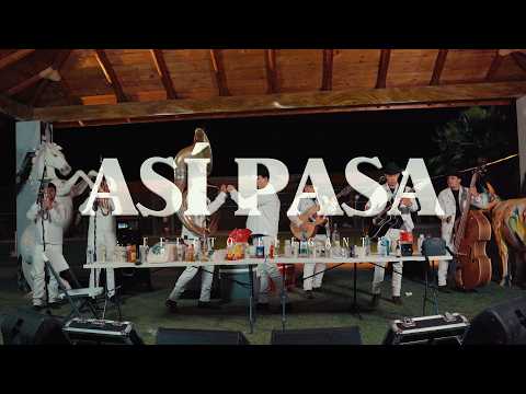 Efecto Elegante - Así Pasa