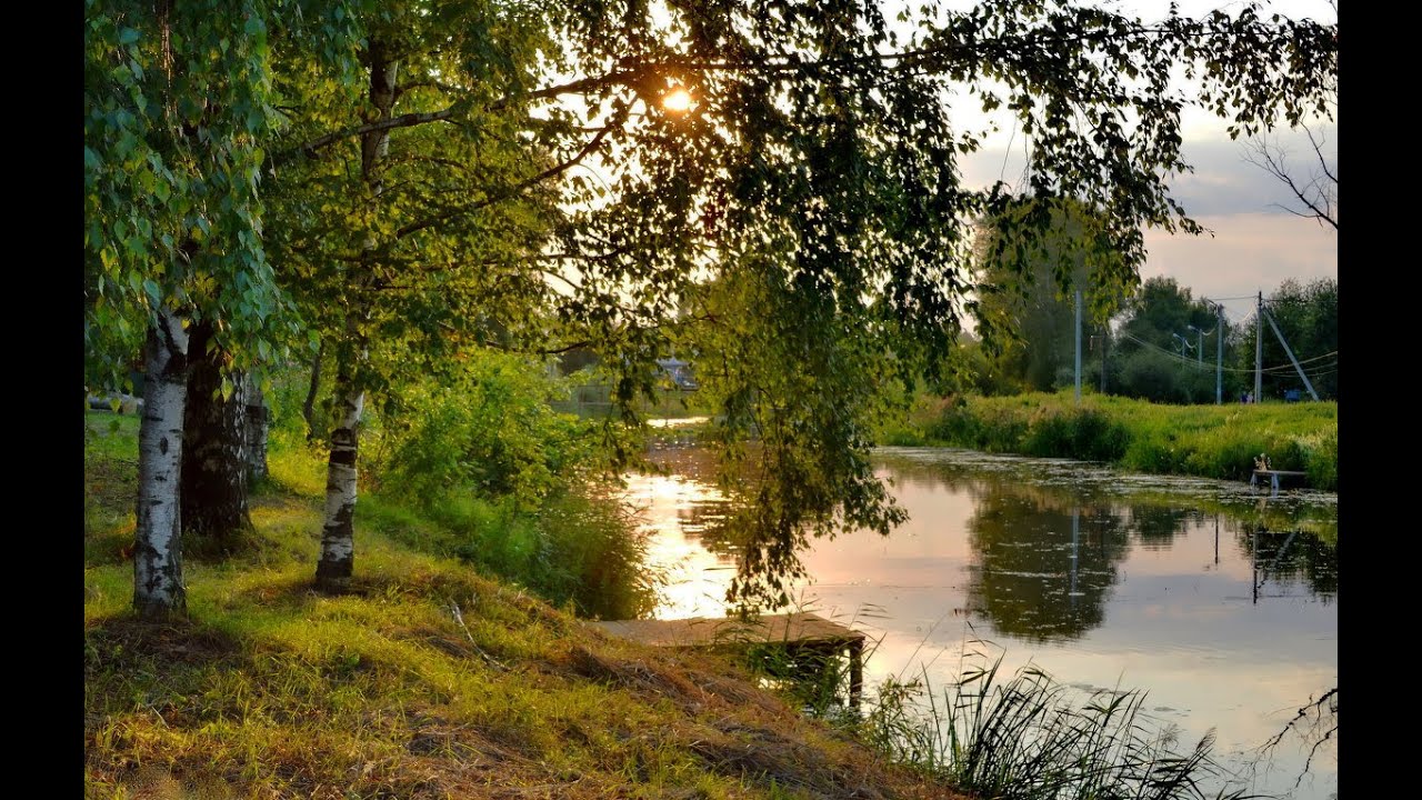 Там за лесом за рекой. Природа деревня речка Березки. Березы у реки. Береза речка. Береза на берегу реки.