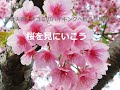 梅・桃・桜編 還暦夫婦ナオユミのハイキングへ行こう旅日記 梅・桃・桜がたくさん出てくるよ
