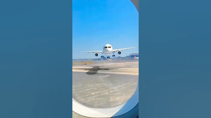 Video 7599551: turkish angora kitten cat, cute turkish angora kitten, cat kitten cutecat